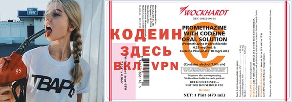 индика Абинск
