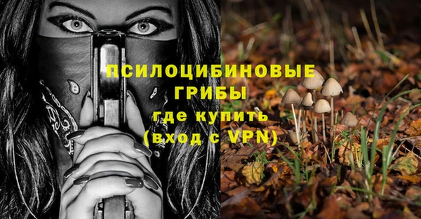 индика Абинск