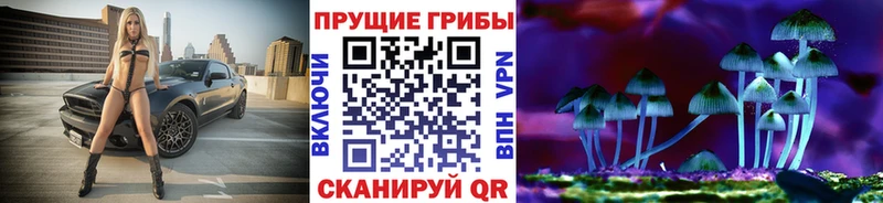 Галлюциногенные грибы мицелий  блэк спрут как зайти  Алейск 